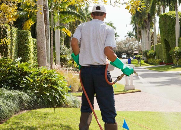 About Emington IL Pest Control